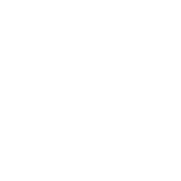 /icons/wavax.png